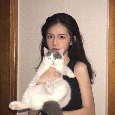 口袋比武手游